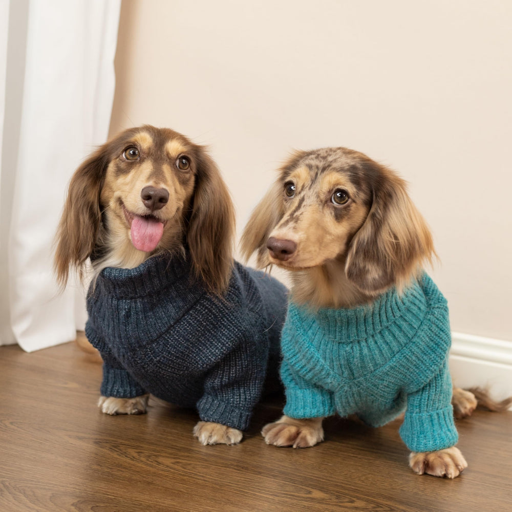 Fitwarm dog sweater showing the chunky knit fabric texture.