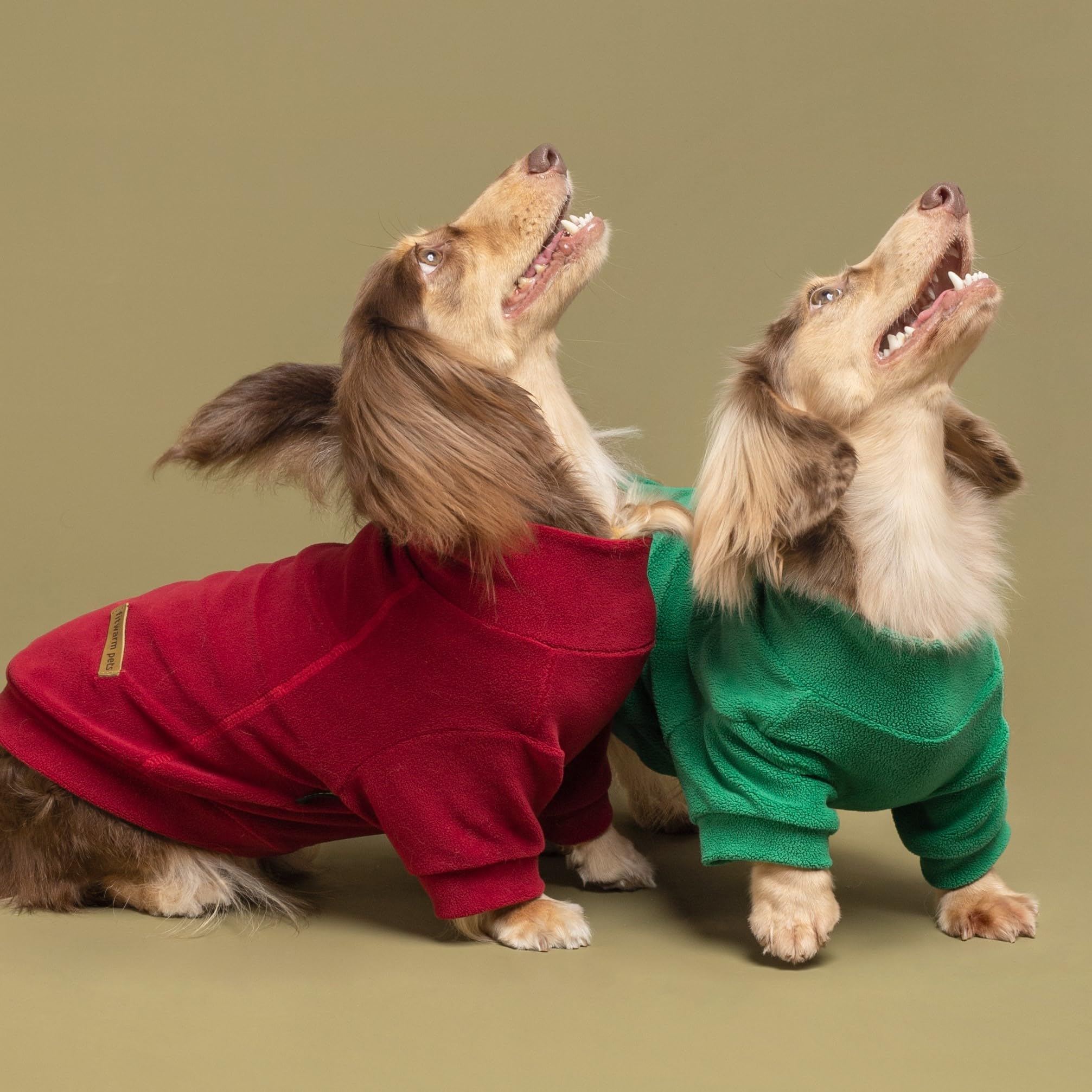 Small dog wearing a Fitwarm fleece sweater outdoors.