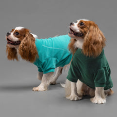 Fitwarm dog sweater three-pack shown in dark green, teal green, and olive green.