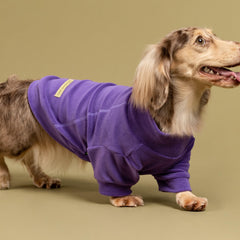 Fitwarm dog sweater close-up showing the turtleneck design.