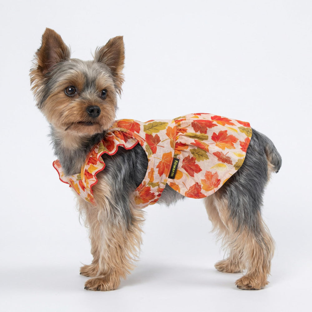 Fitwarm Maple Dog Dress detail showing the halter neckline.