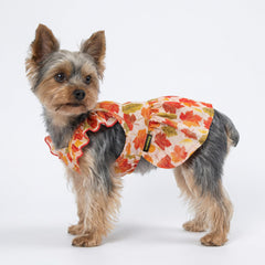 Fitwarm Maple Dog Dress detail showing the halter neckline.