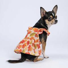 Fitwarm Maple Dog Dress close-up showing the red, orange, and yellow maple print.
