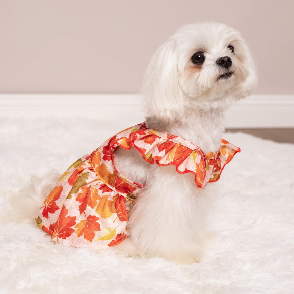 Fitwarm Maple Dog Dress detail showing its ruffle sleeves.