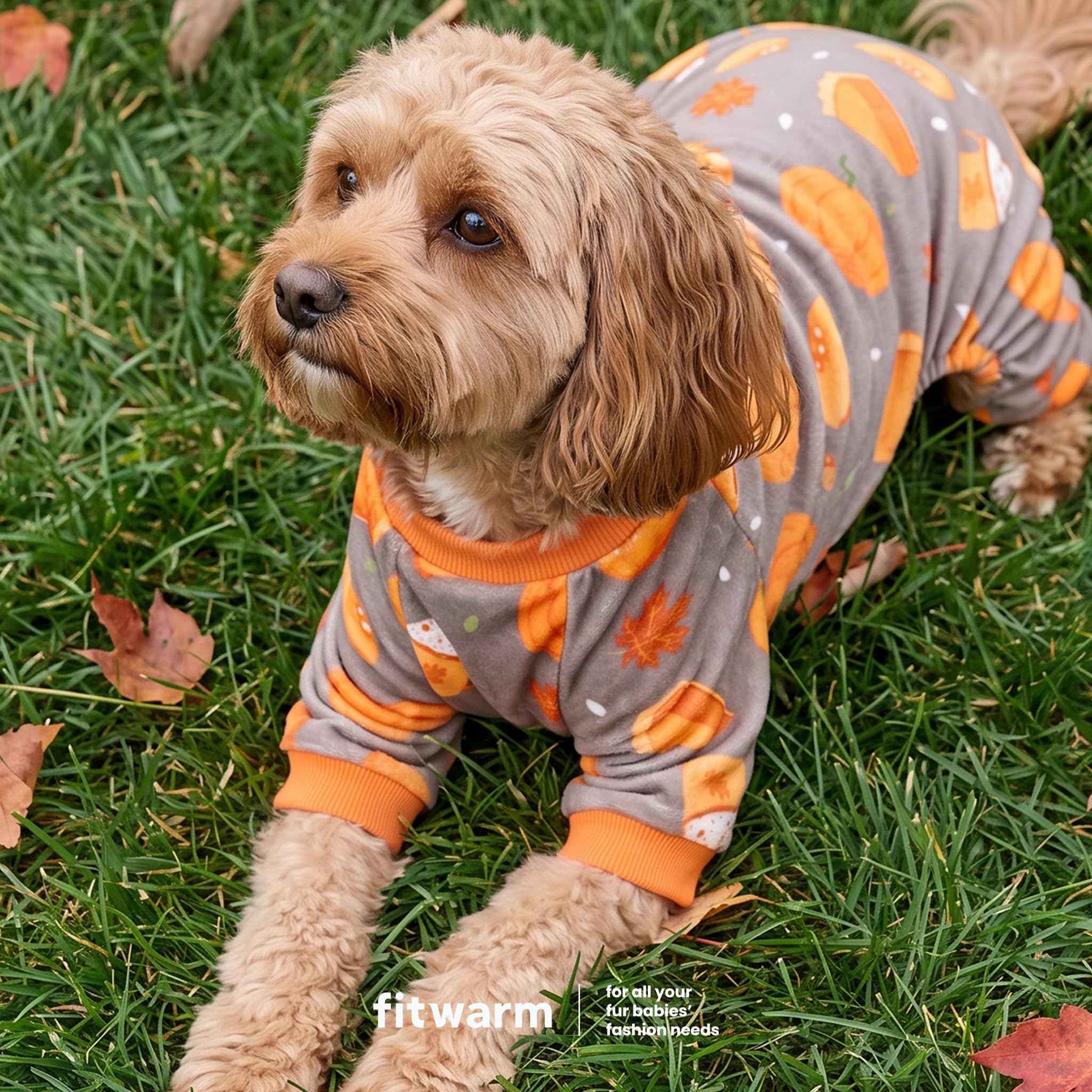 Fitwarm Pumpkin Dog Pajamas shown with their four-leg onesie design.