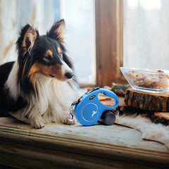 FLEXI Classic Cord retractable dog leash shown from an alternate angle.