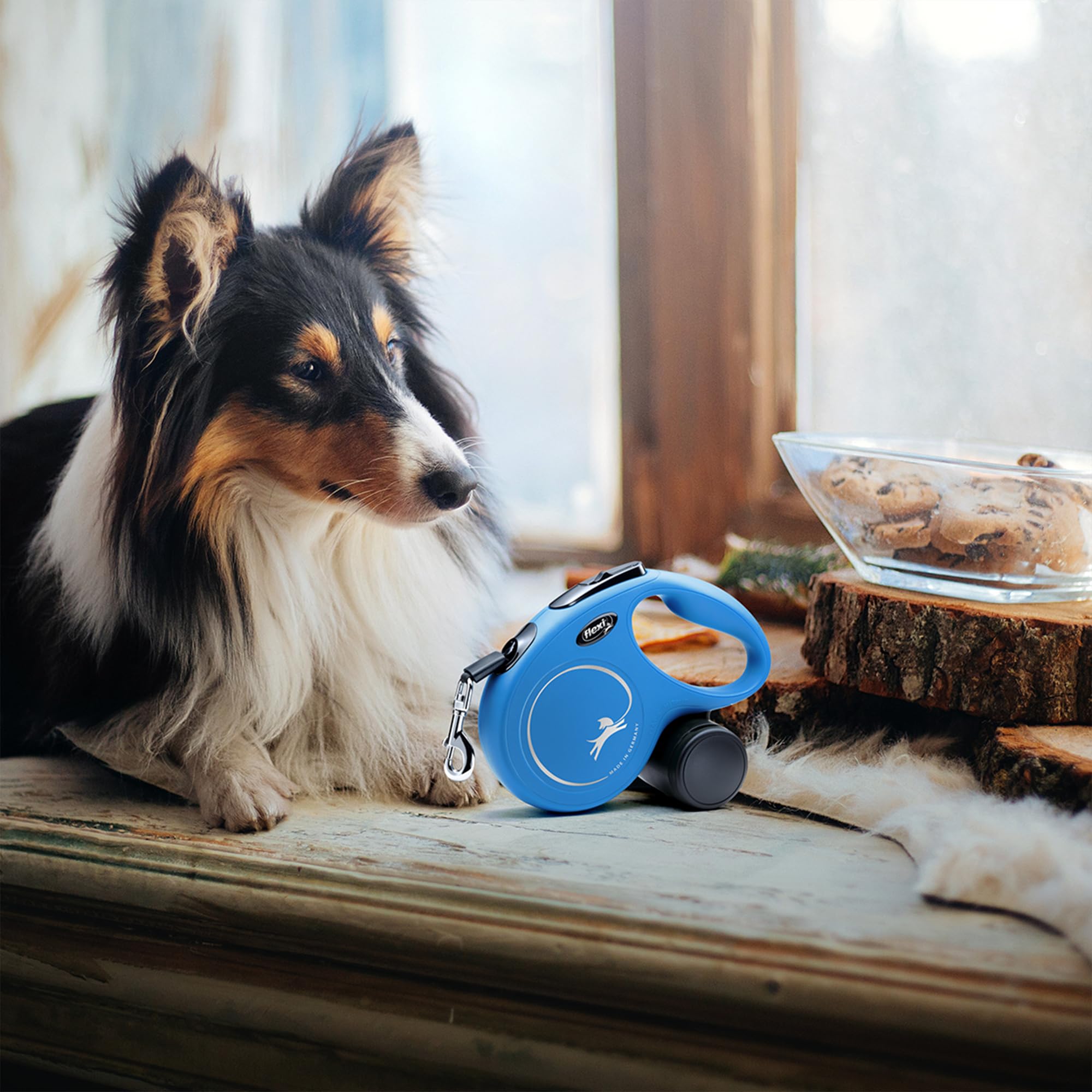 FLEXI Classic XS dog leash in use on a dog walk.