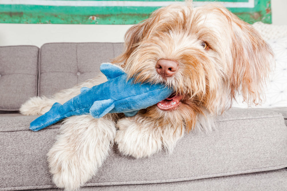 Fluff & Tuff Tank The Shark Tuff Dog Toy showing its stitched construction.
