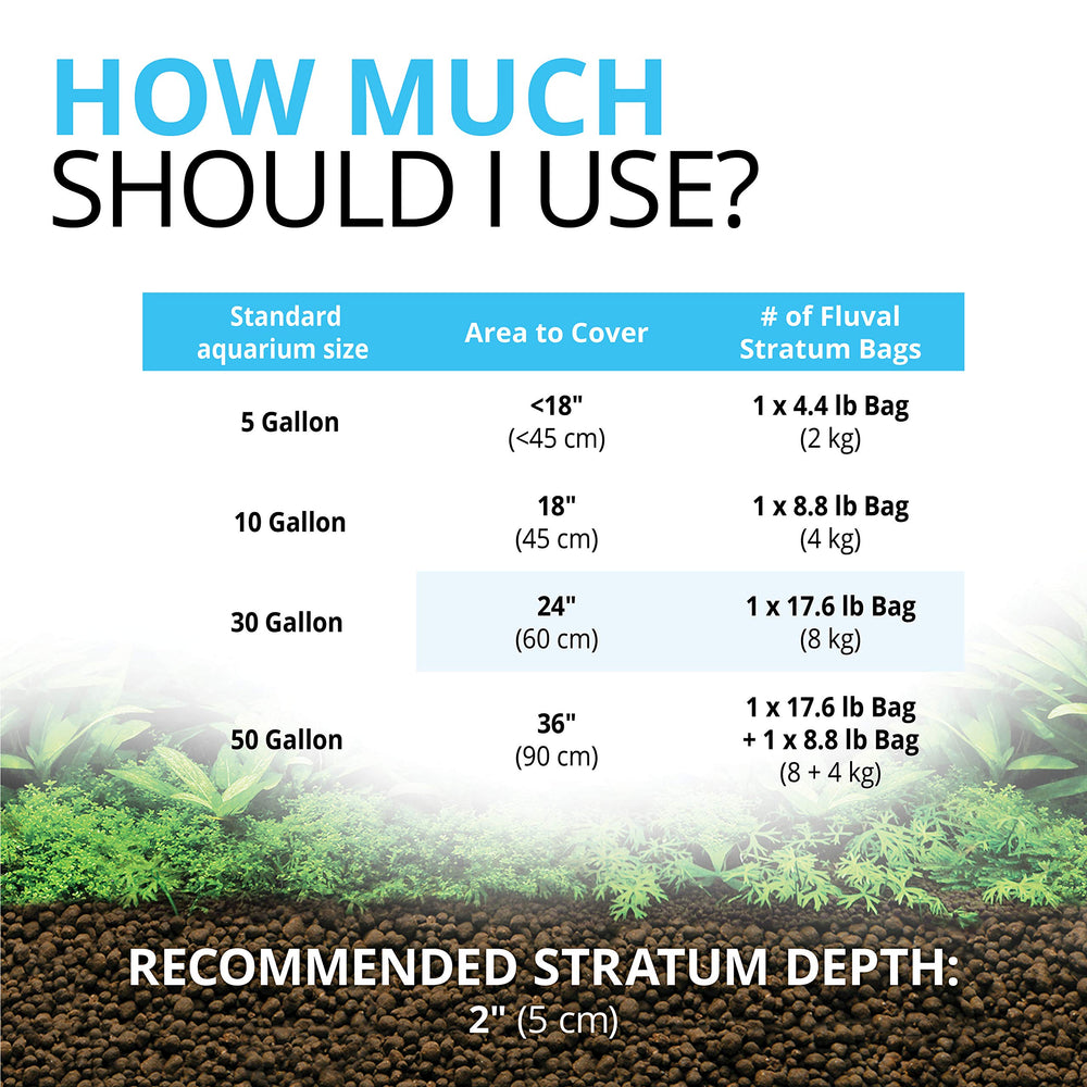 Fluval Plant and Shrimp Stratum surrounding live aquatic plant roots.