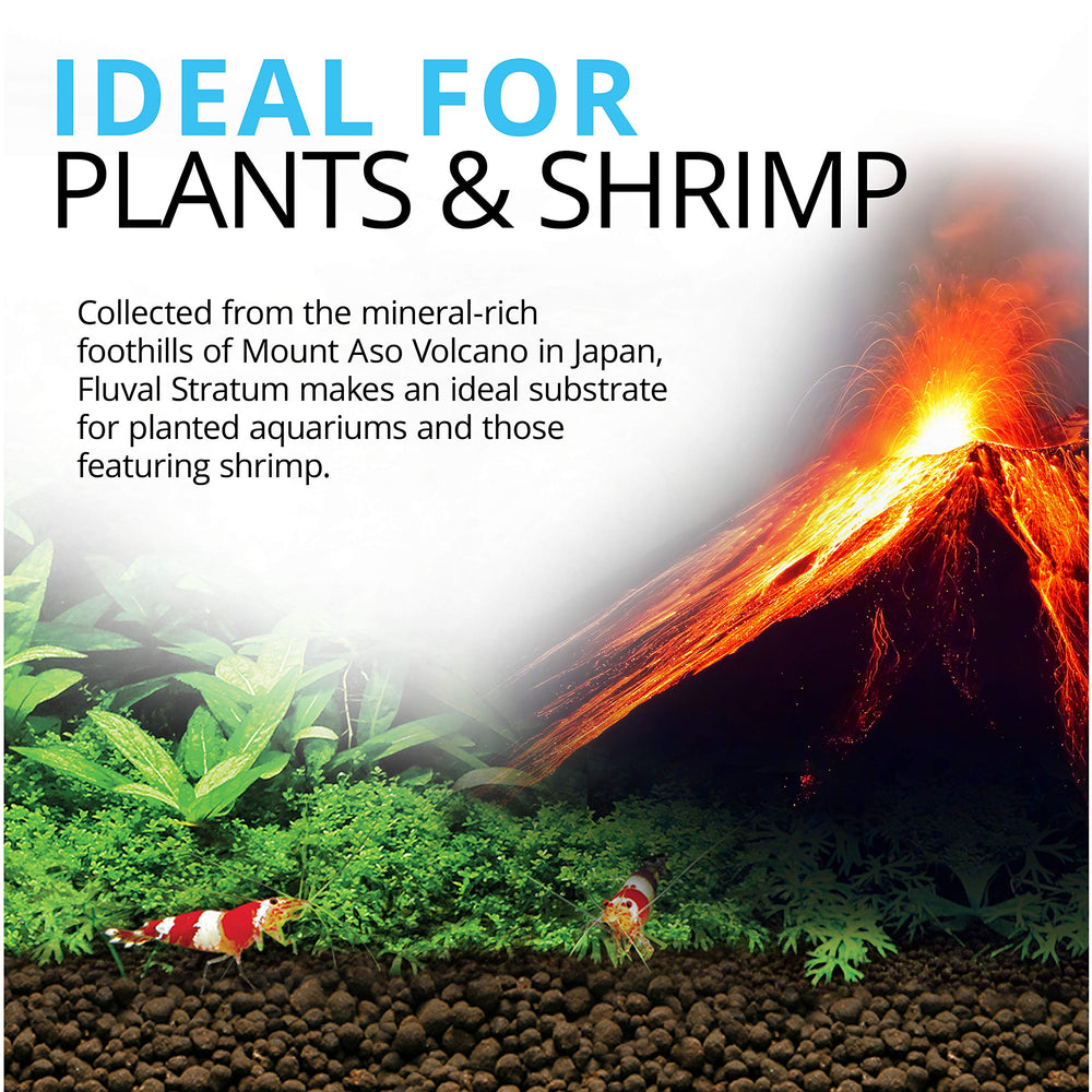 Close-up view of Fluval Plant and Shrimp Stratum aquarium substrate.
