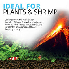 Close-up view of Fluval Plant and Shrimp Stratum aquarium substrate.