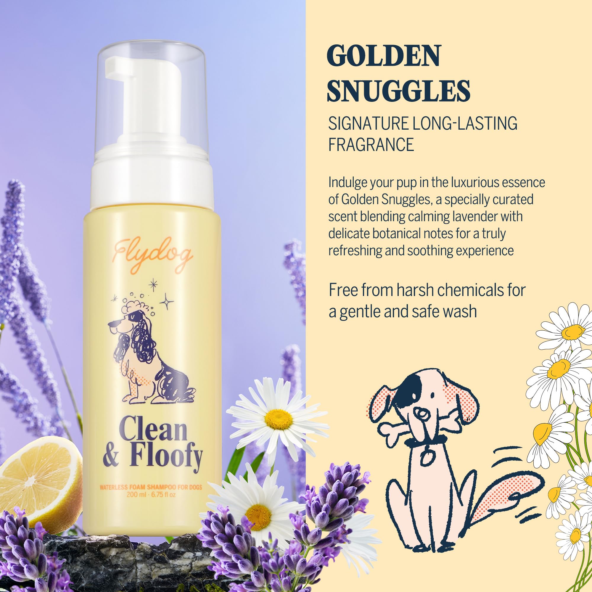 Flydog dry dog shampoo shown as part of a dog coat grooming routine.