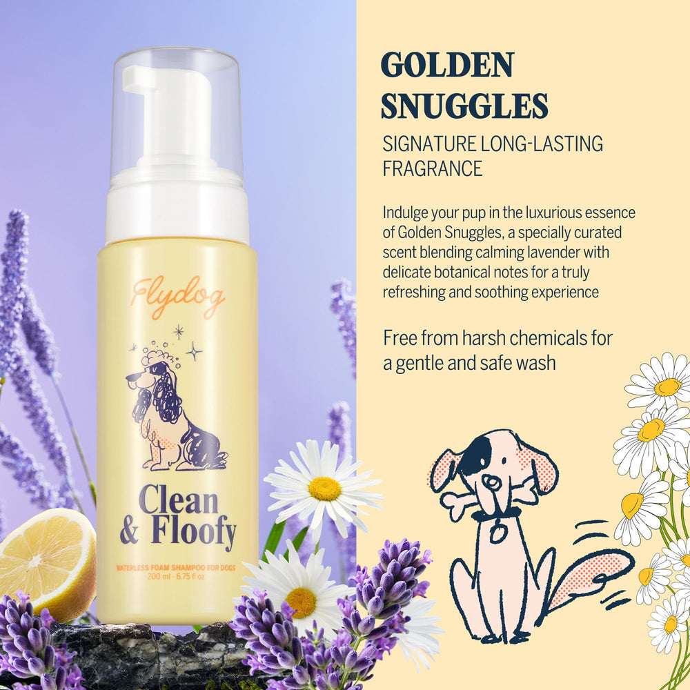 Flydog dry dog shampoo shown as part of a dog coat grooming routine.