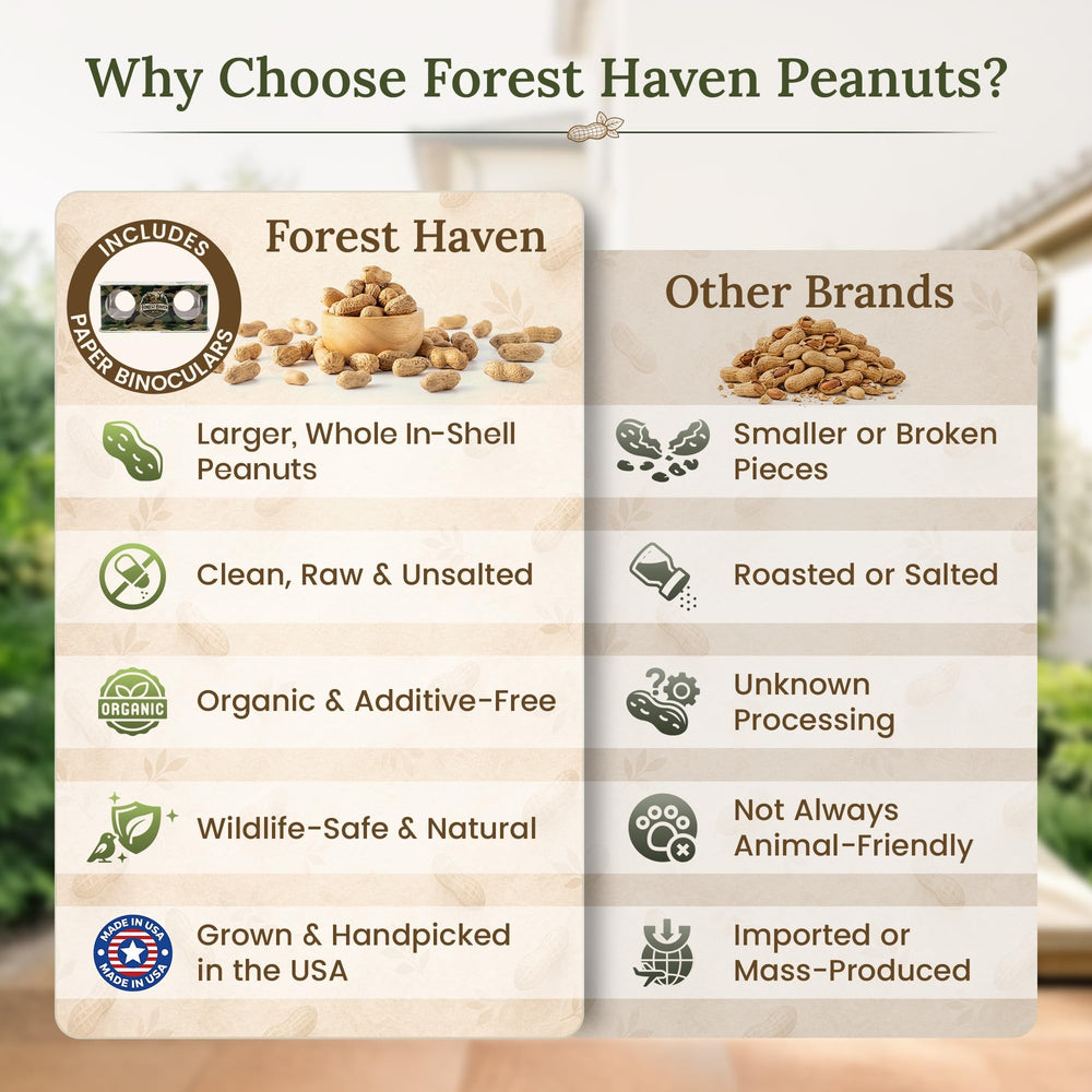 Forest Haven peanuts set out for backyard wildlife feeding.