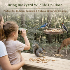 Forest Haven peanuts placed in an outdoor squirrel feeder.