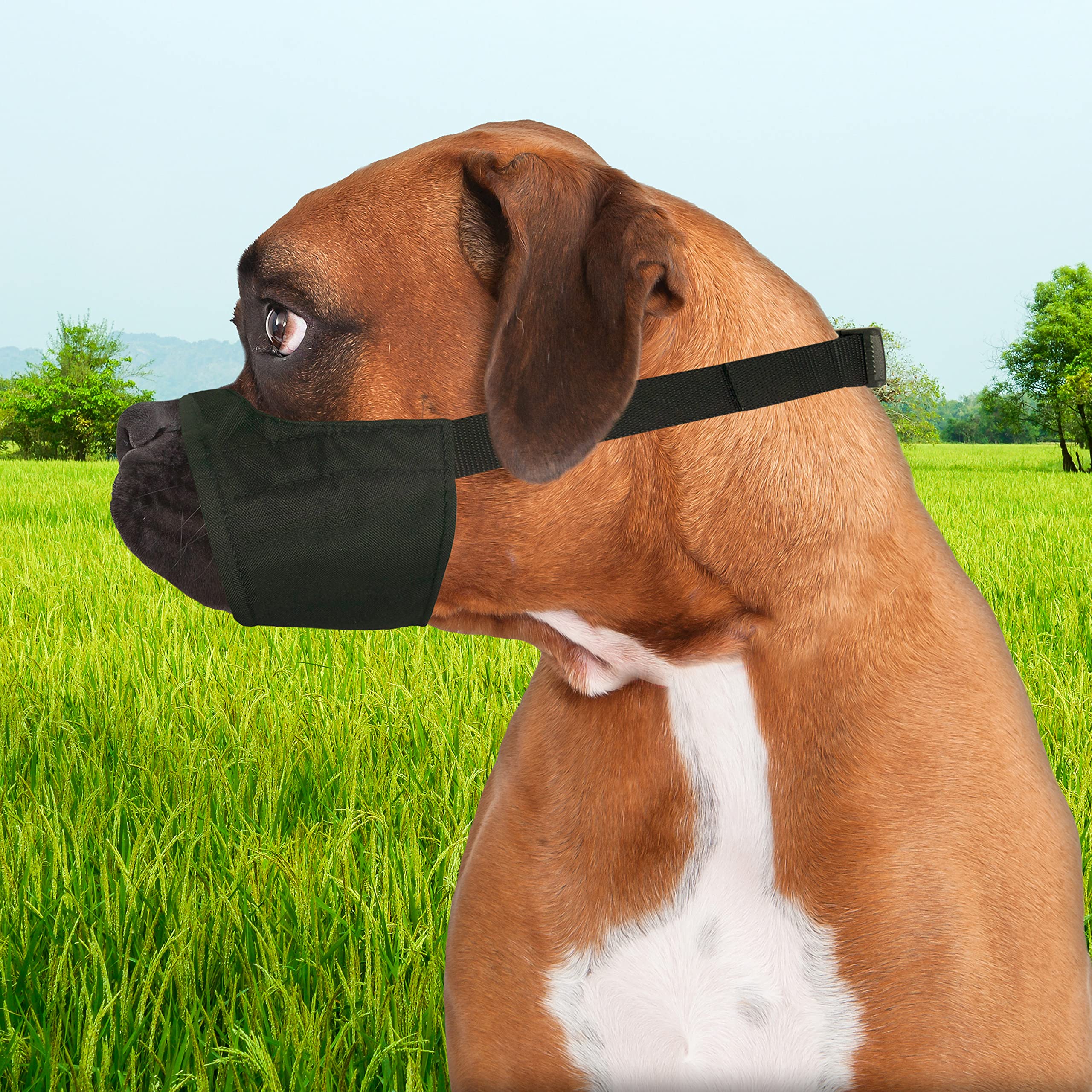 Four Paws dog muzzle shown from a side angle.