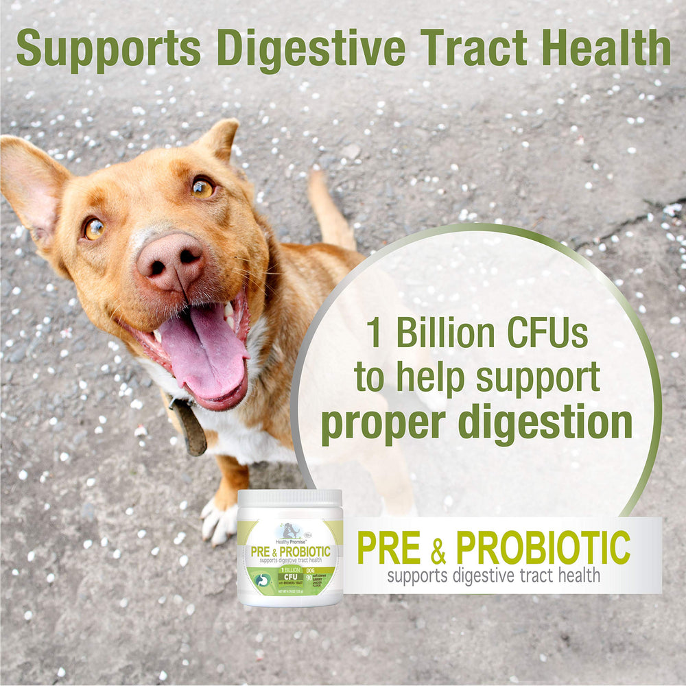 Four Paws Healthy Promise Pre & Probiotics shown being offered to a dog.