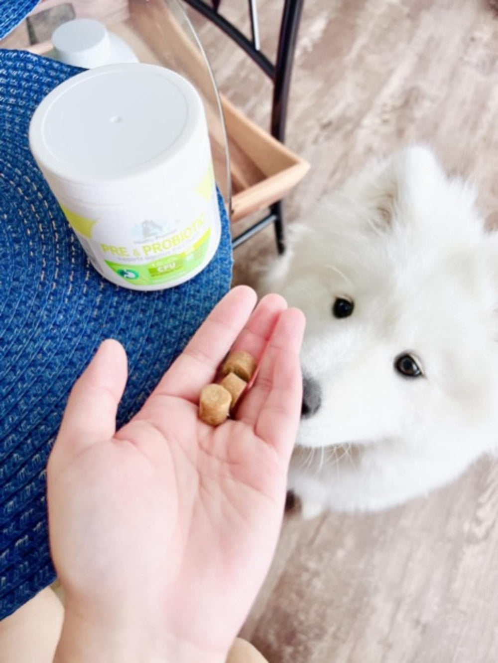 Four Paws Healthy Promise Pre & Probiotics soft chew shown in close-up.
