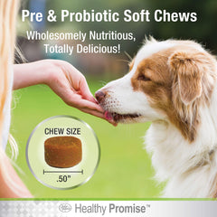 Four Paws Healthy Promise Pre & Probiotics supplement label shown close up.