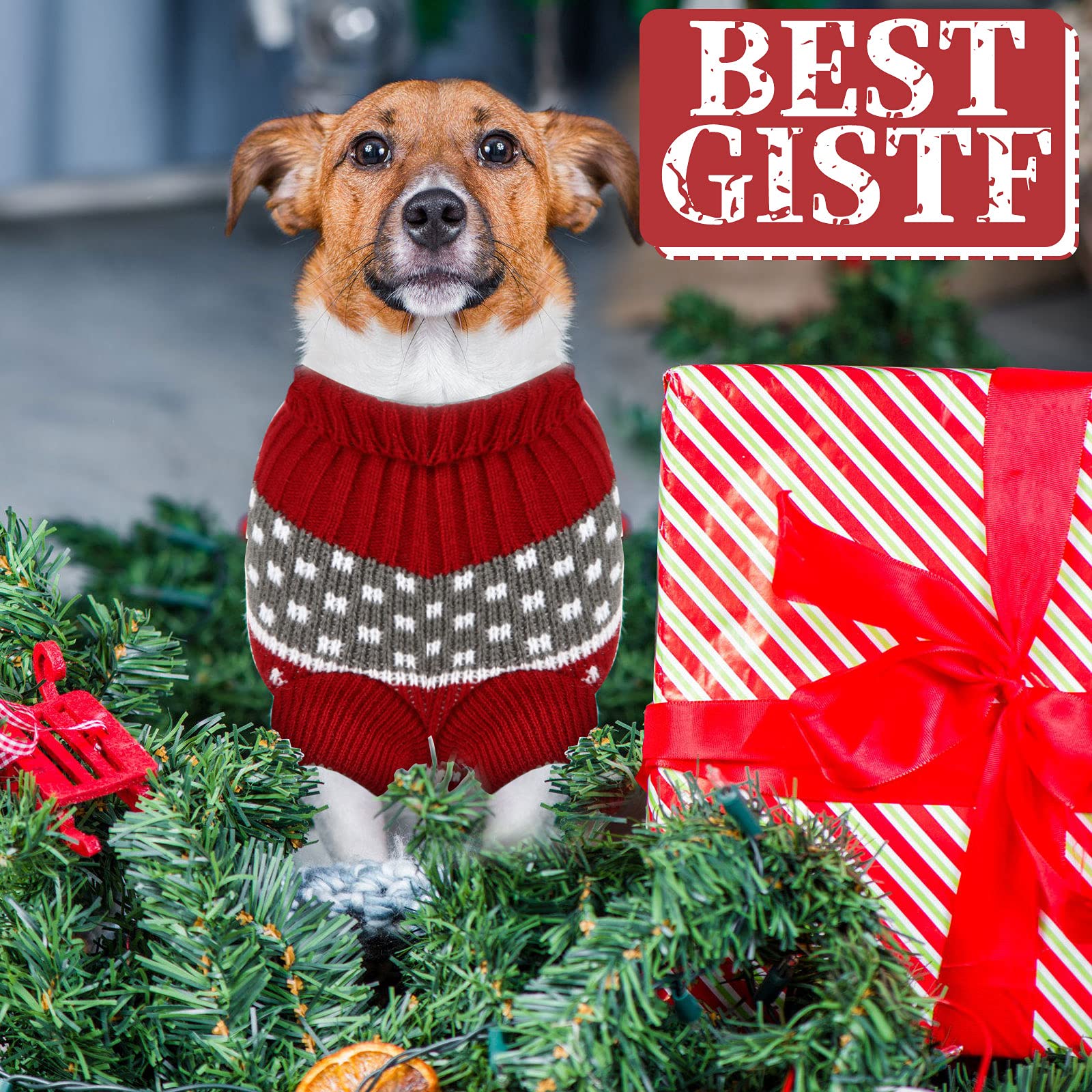Frienda Christmas dog sweater shown being worn by a dog.