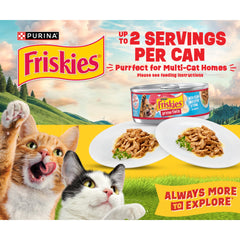 Friskies Indoor Wet Cat Food recipe details shown on the packaging.