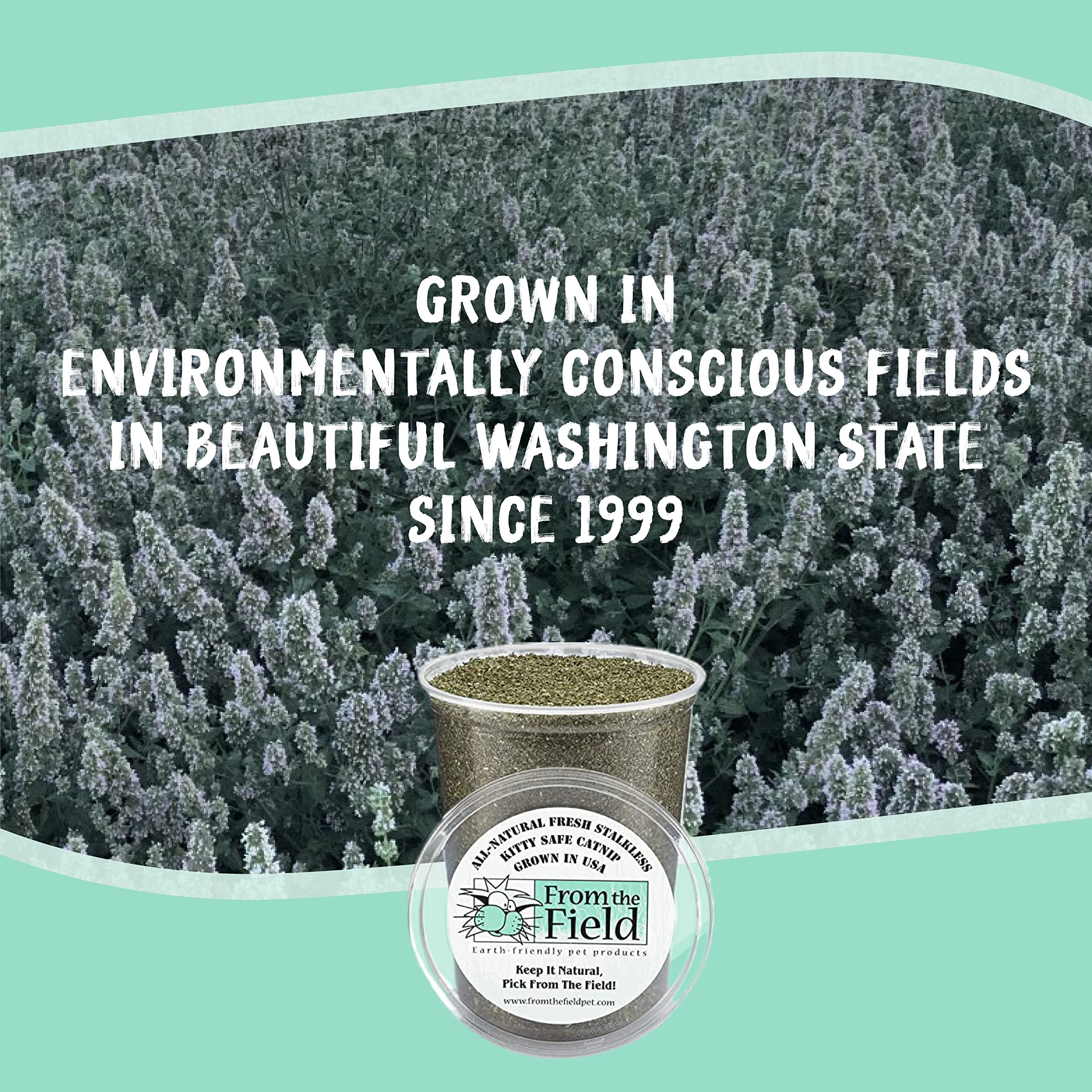 From The Field catnip product label shown on the tub.