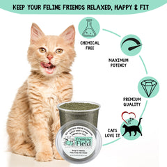 From The Field catnip being used to refresh a cat toy.