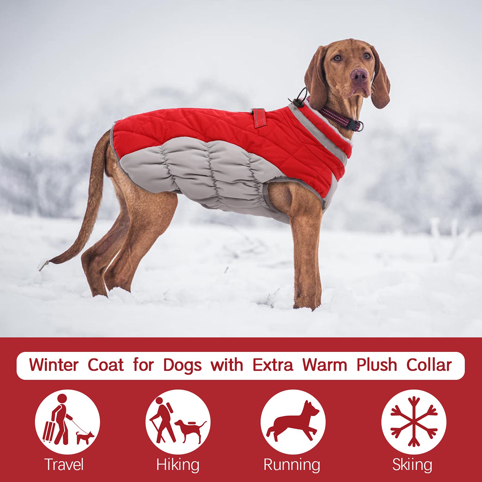 FUAMEY dog coat back zipper shown in detail.