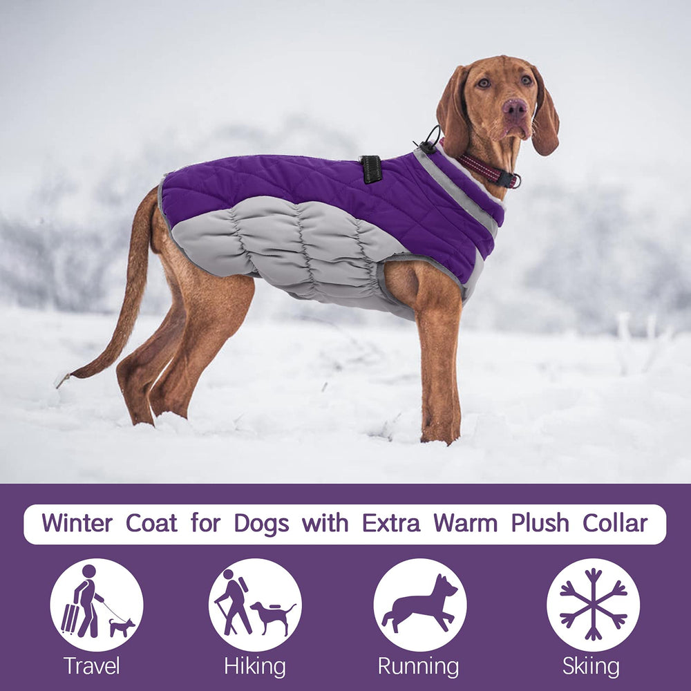 FUAMEY Dog Coat detail showing the back zipper.