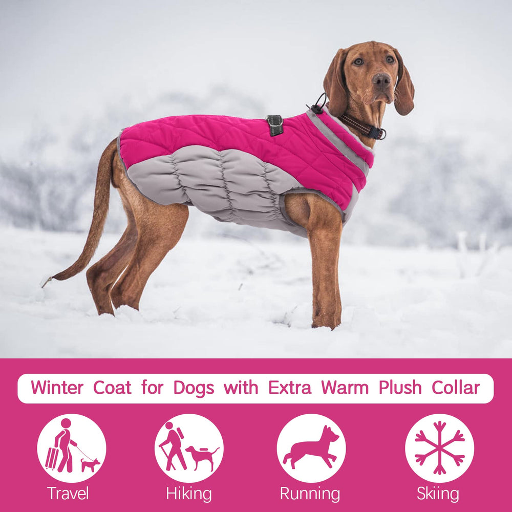 FUAMEY dog coat detail showing the back zipper closure.