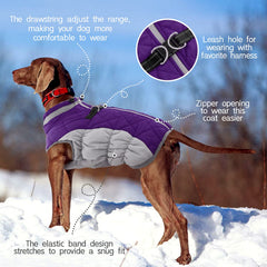 FUAMEY Dog Coat close-up showing its two D-rings for leash attachment.