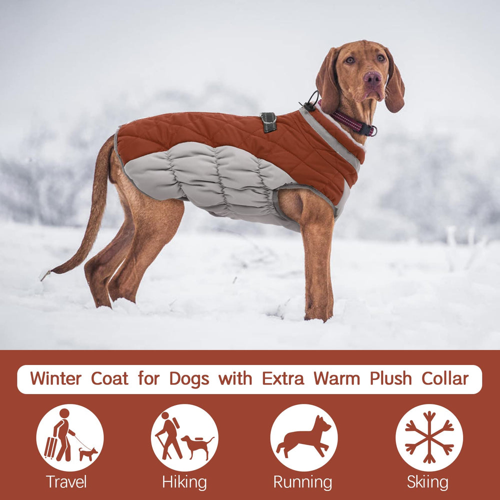 FUAMEY dog coat detail showing its double-layer fleece lining.