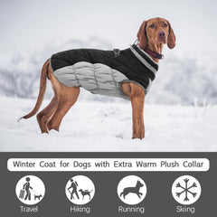 FUAMEY dog coat close-up showing the double-layer fleece lining.