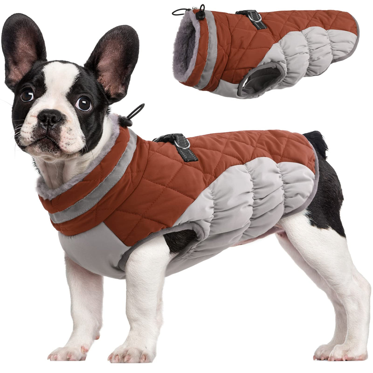 FUAMEY dog coat shown from the front with its winter jacket design.