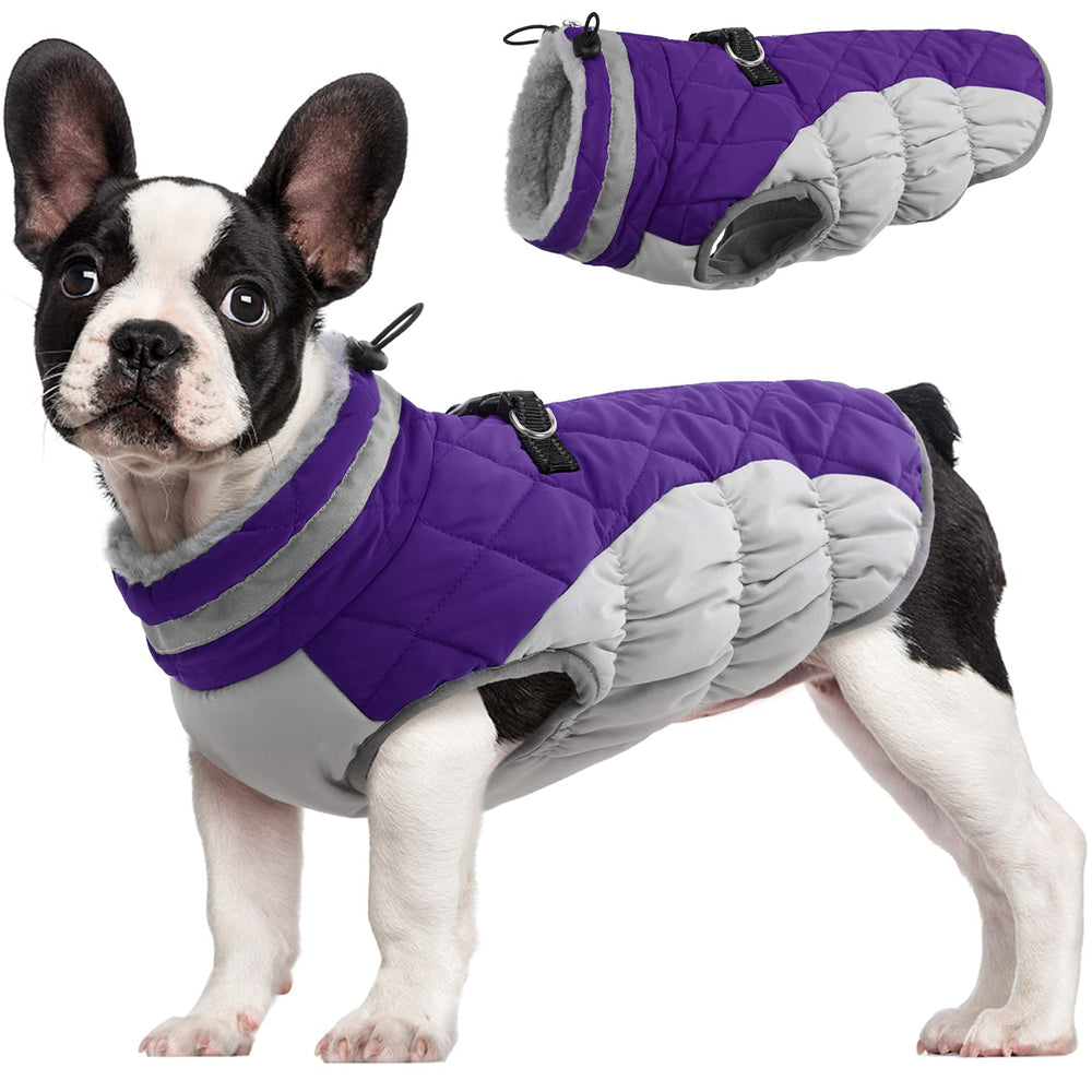 FUAMEY Dog Coat shown from the front to display its winter jacket shape.