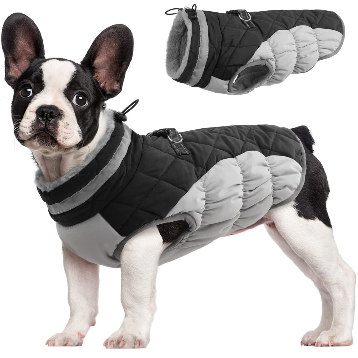 FUAMEY dog coat shown from the front, displaying the winter jacket design.