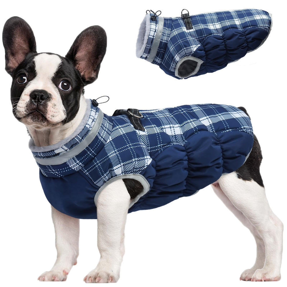 FUAMEY dog coat shown from the front with its overall jacket design visible.