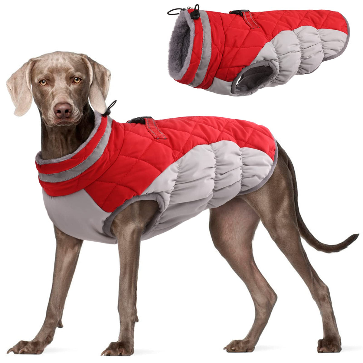 FUAMEY dog coat shown from the front to display its winter jacket shape.