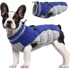 FUAMEY dog coat shown from the front with its winter jacket design.