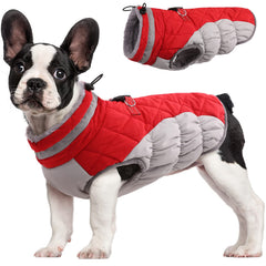 FUAMEY dog coat shown from the front, displaying its winter jacket design.