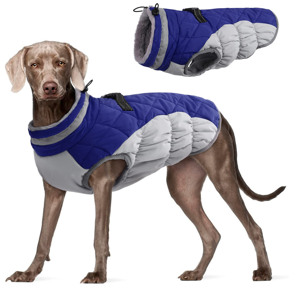 FUAMEY dog coat shown from the front to display its winter jacket design.