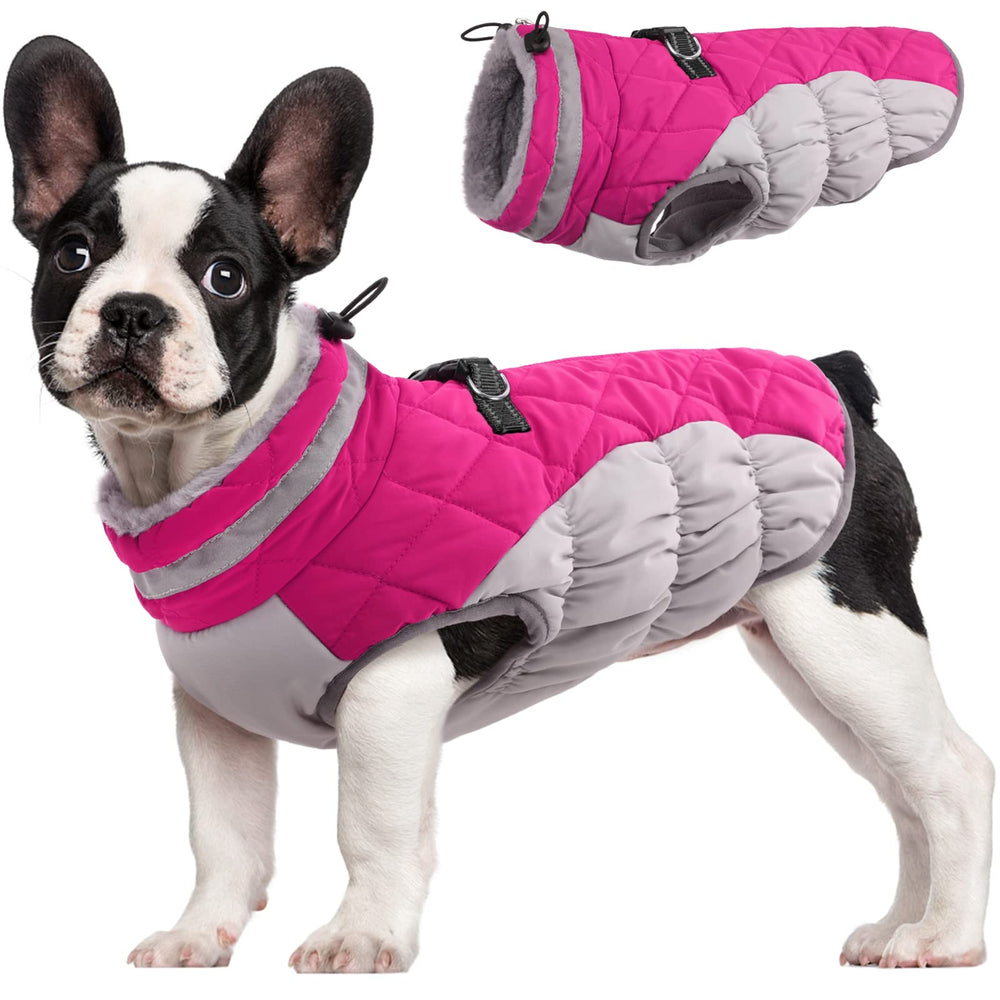FUAMEY dog coat shown from the front with its winter jacket design.