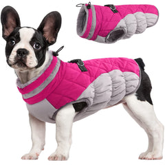 FUAMEY dog coat shown from the front with its winter jacket design.