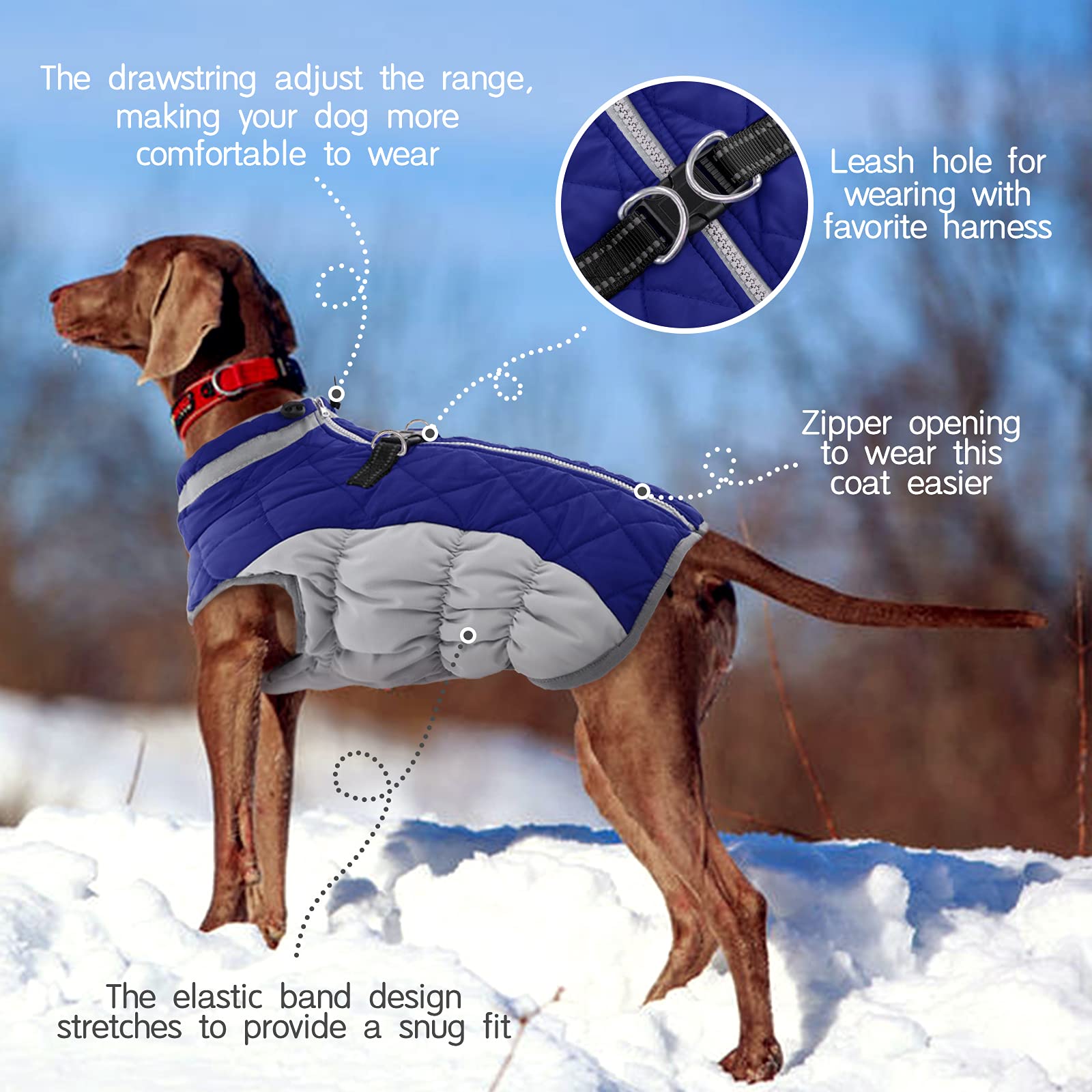 FUAMEY dog coat detail showing the two D-rings for leash attachment.