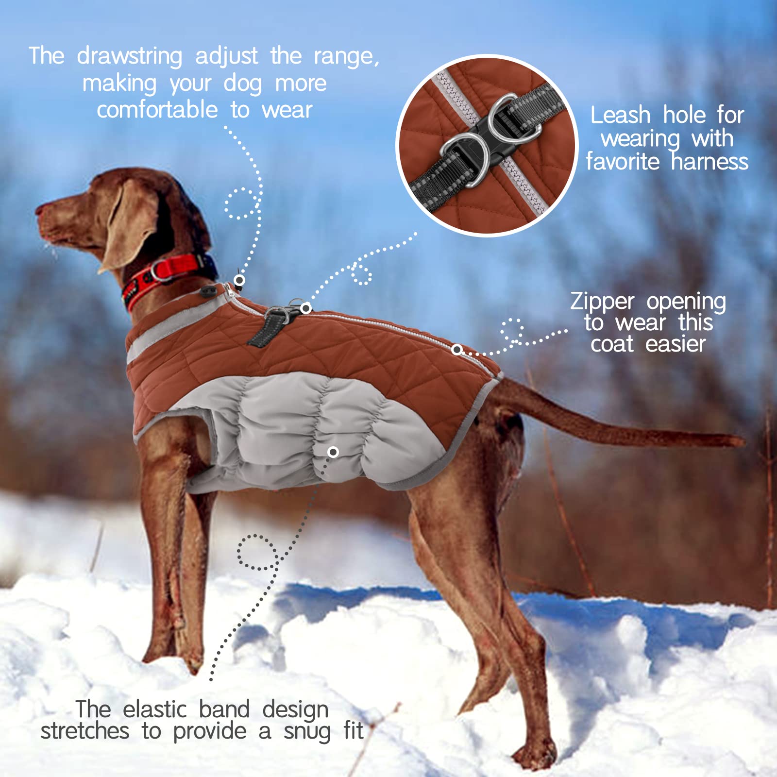 FUAMEY dog coat detail showing the two built-in harness D-rings.