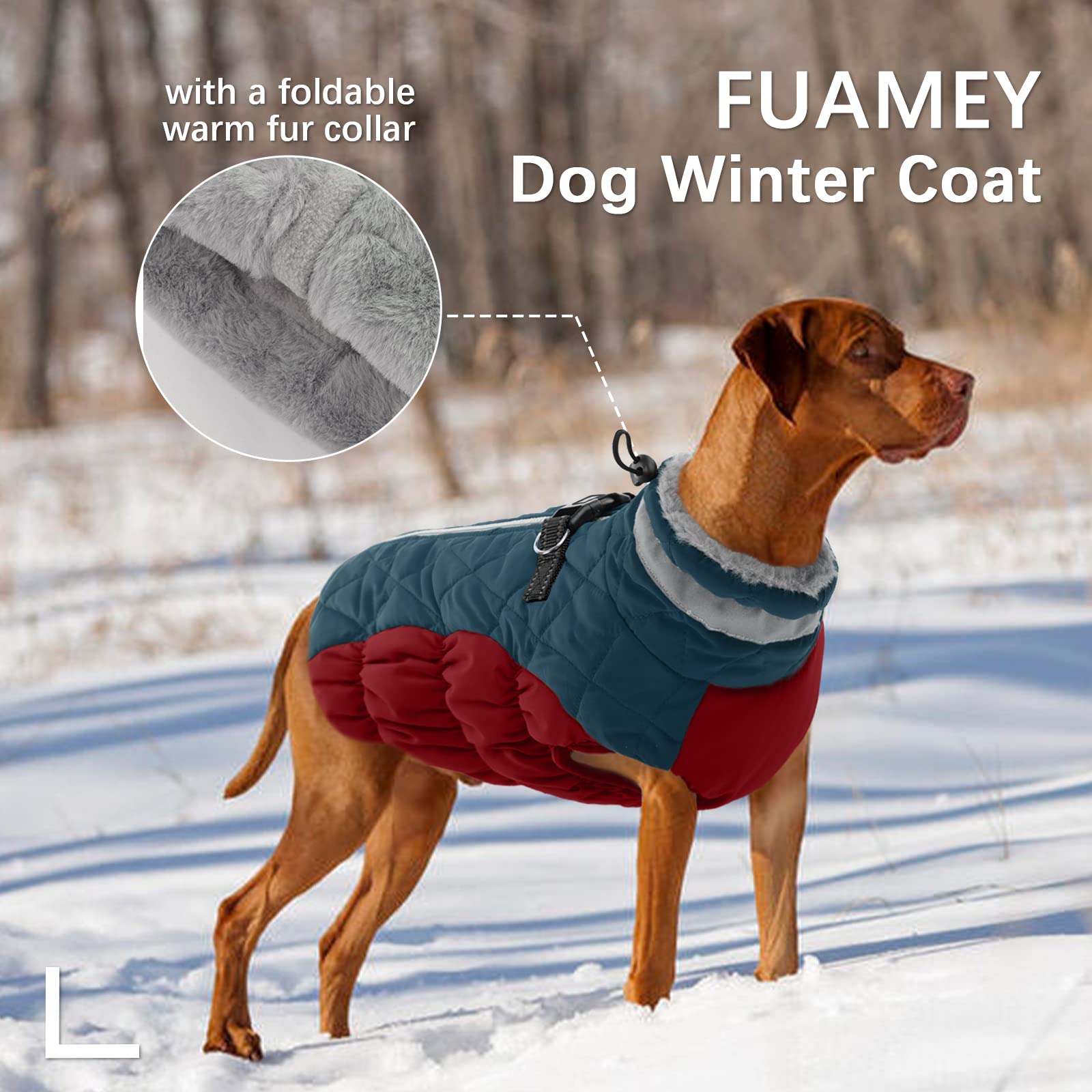 FUAMEY dog coat detail featuring its two built-in harness D-rings.