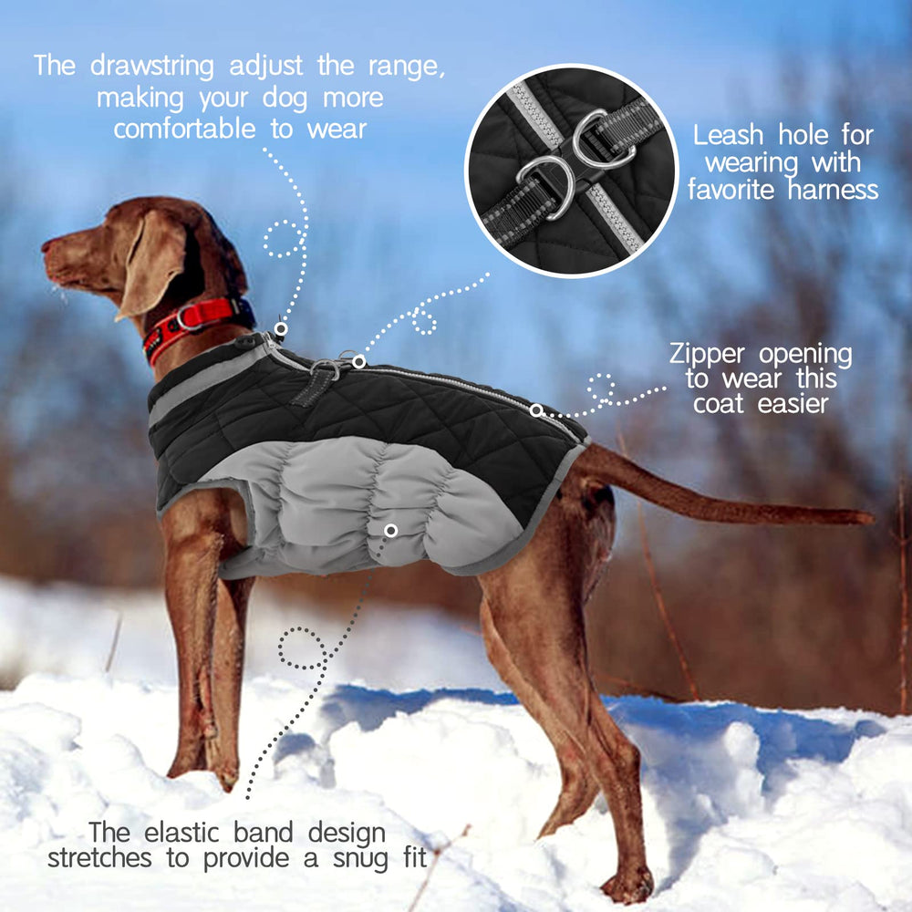 FUAMEY dog coat detail showing the two D-rings for leash attachment.