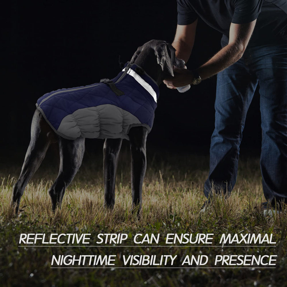 FUAMEY dog coat showing reflective strips for low-light visibility.