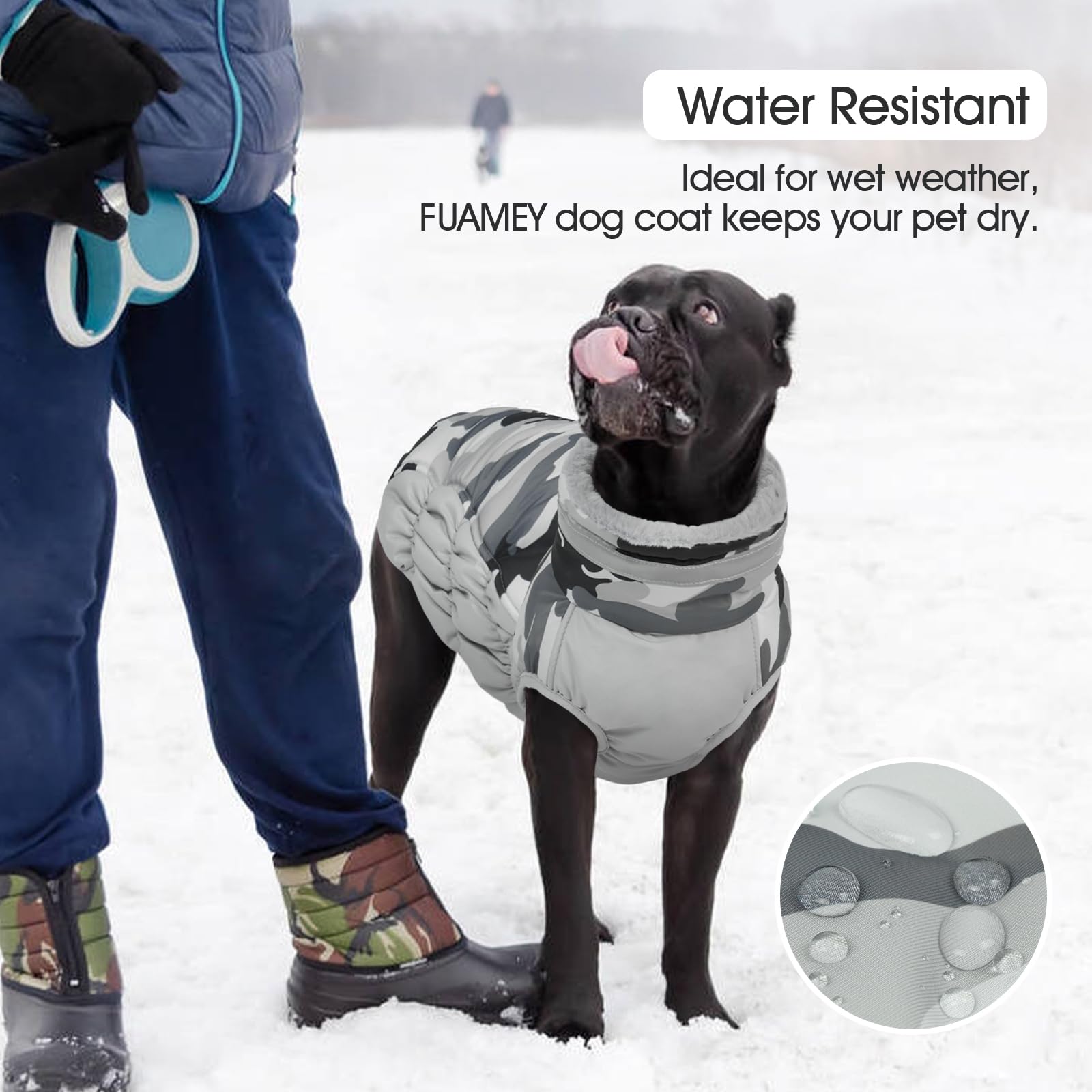 FUAMEY dog coat worn by a dog during an outdoor walk.