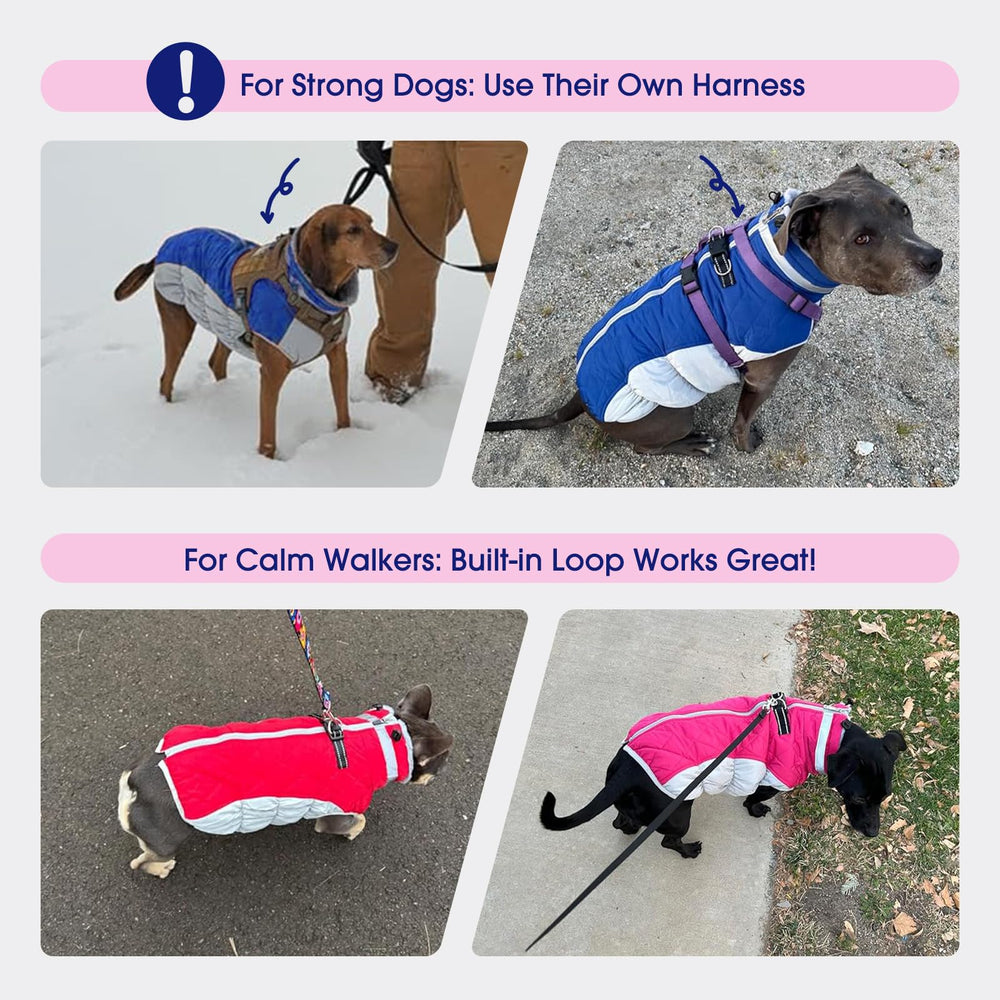 FUAMEY dog jacket shown in different color and print options.